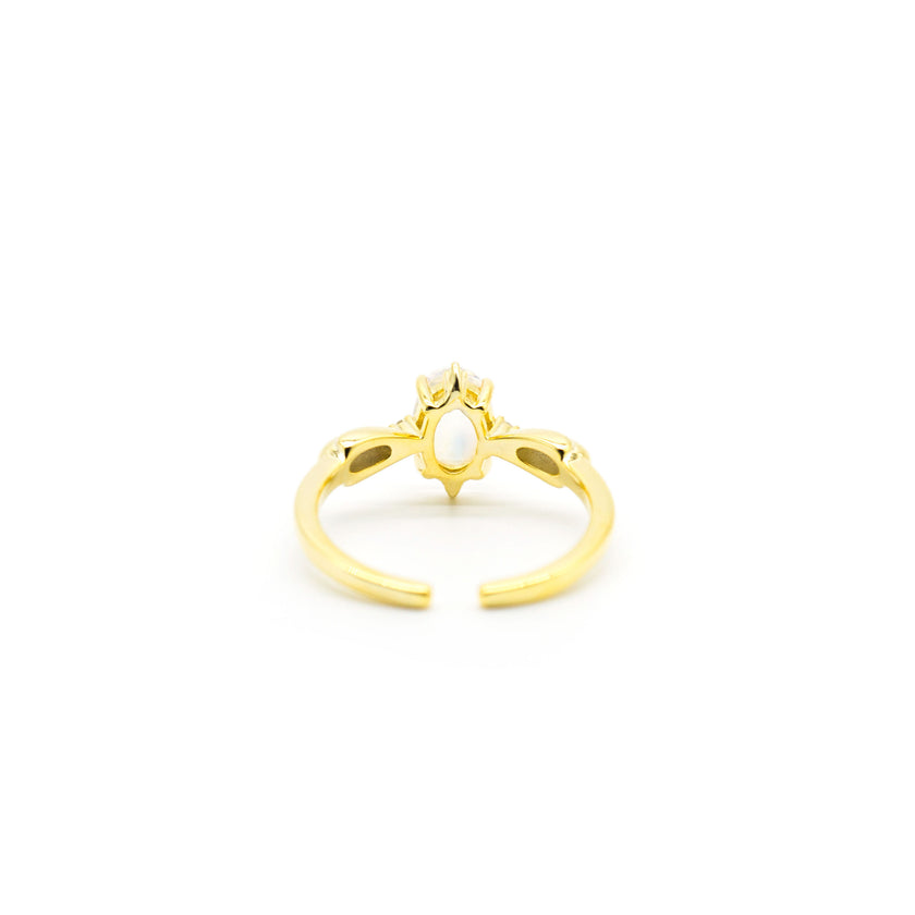 Ariel Ring